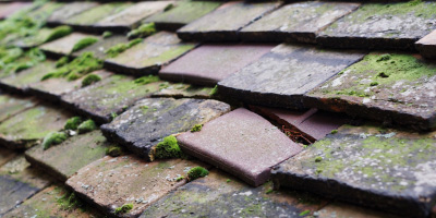 West Harptree roof repair costs